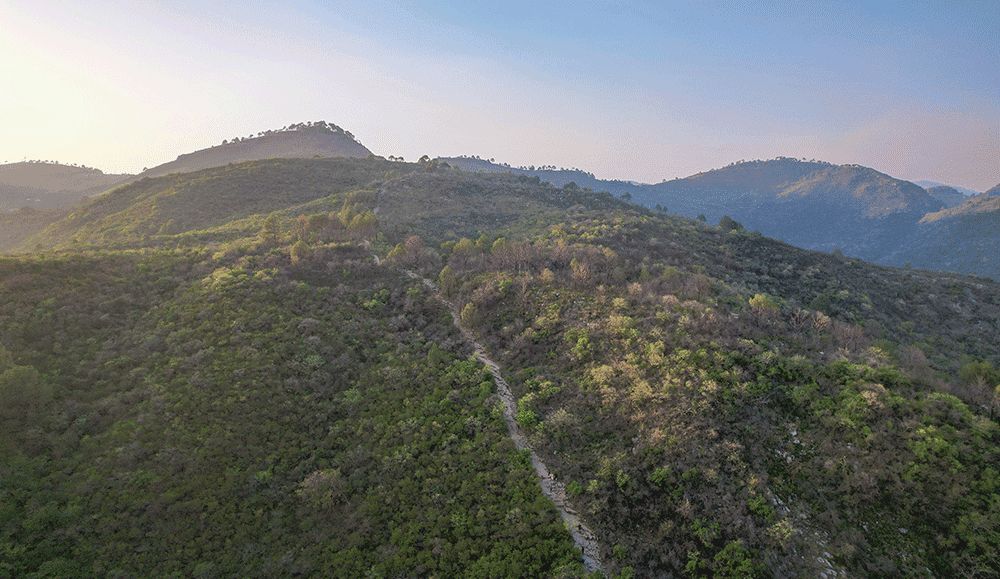 Hiking Trails
